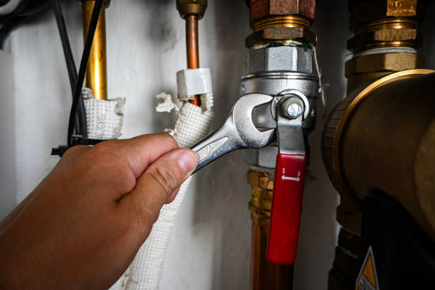 Best Plumbing Inspection Services  in Bayou Vista, LA